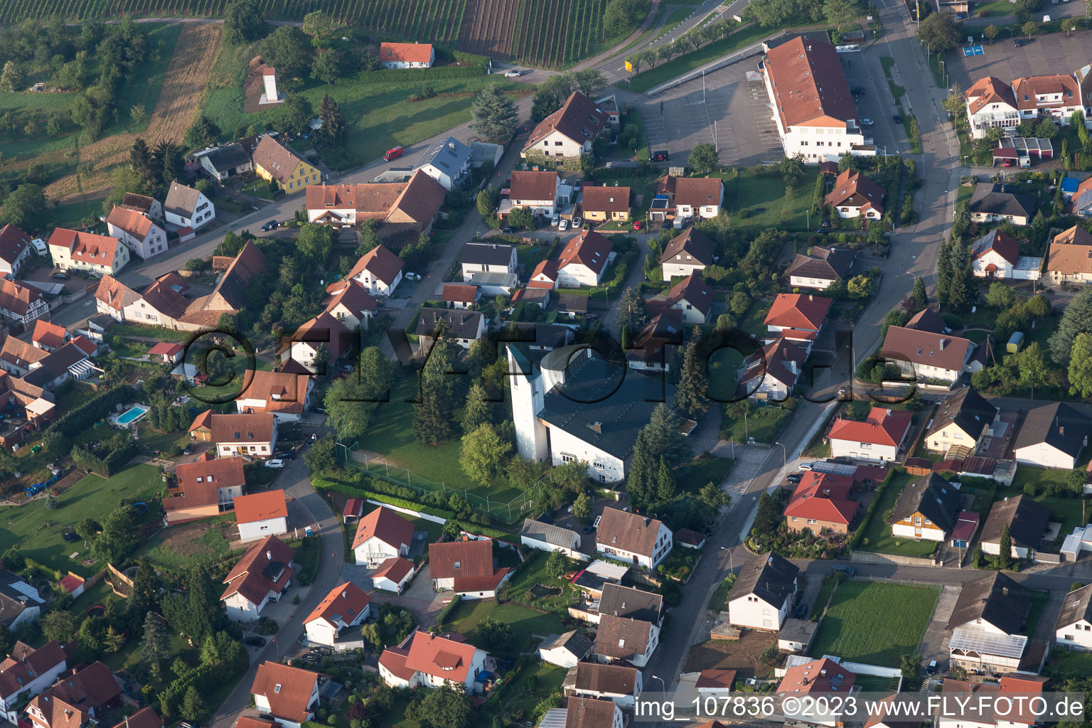 District Rechtenbach in Schweigen-Rechtenbach in the state Rhineland-Palatinate, Germany from a drone