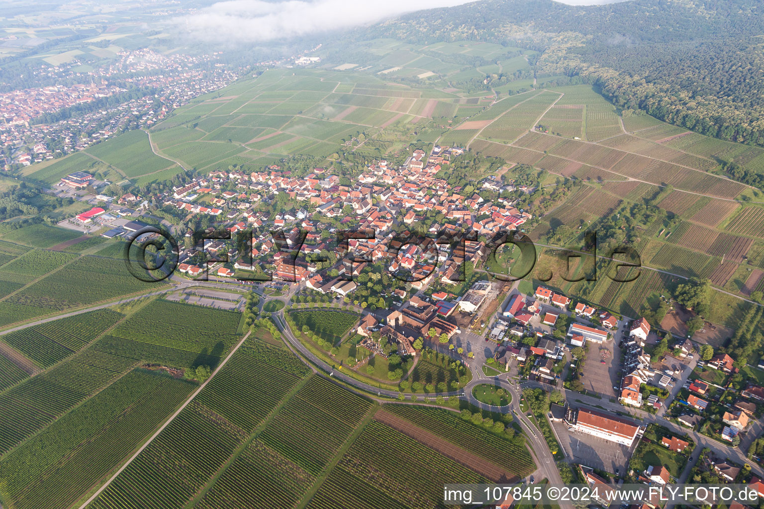 District Rechtenbach in Schweigen-Rechtenbach in the state Rhineland-Palatinate, Germany seen from above