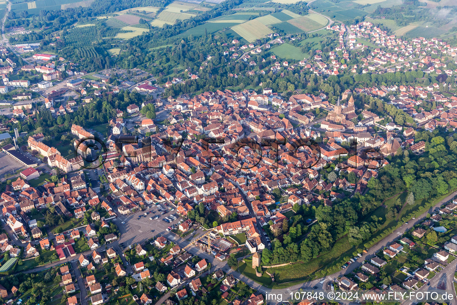 District Schweigen in Wissembourg in the state Bas-Rhin, France