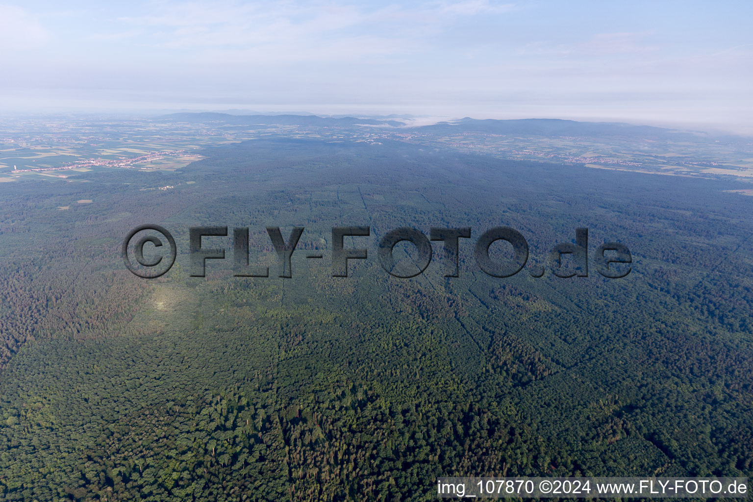 District Schaidt in Wörth am Rhein in the state Rhineland-Palatinate, Germany from the plane