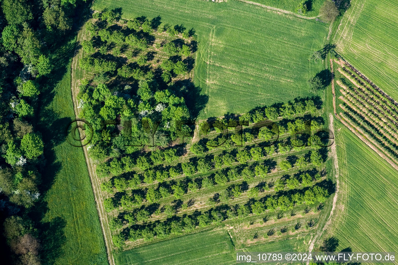 Drone recording of Wissembourg in the state Bas-Rhin, France