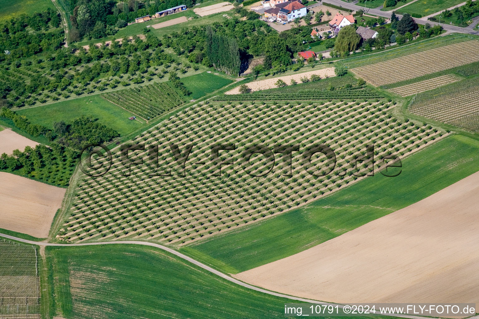 Drone image of Wissembourg in the state Bas-Rhin, France