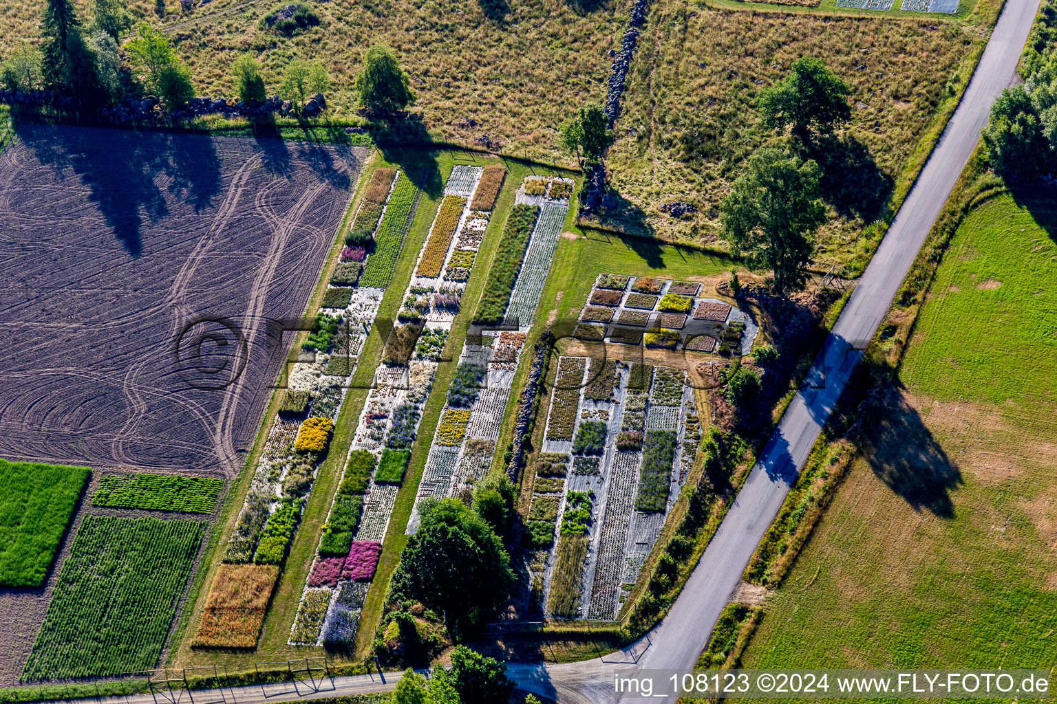 Colorful bedding rows on a field for flowering of Pratensis AB in Loenashult in Kronobergs laen, Sweden