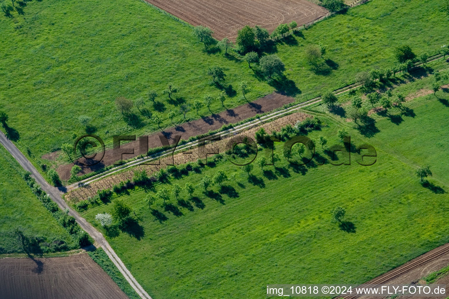 Mitschdorf in the state Bas-Rhin, France viewn from the air