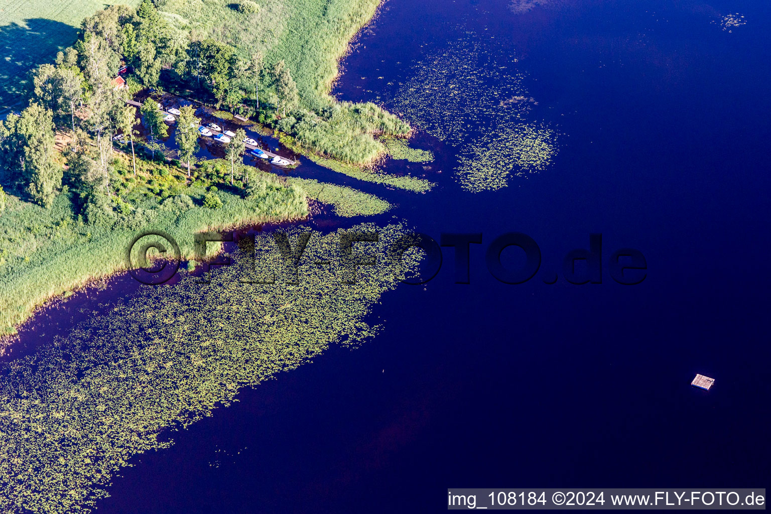 Riparian areas on the swamp coloured (Smaland) lake Asnen with water lillys, boat bridge, and swimming beach in Hunna in Kronobergs laen, Sweden