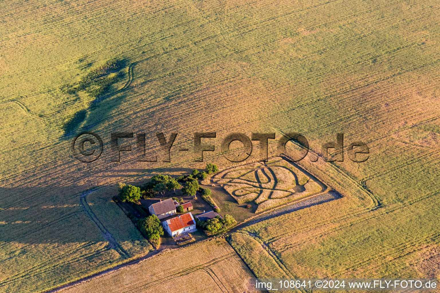 Homestead of a farm surrounded by crop fields in Borre in Region Sjaelland, Denmark