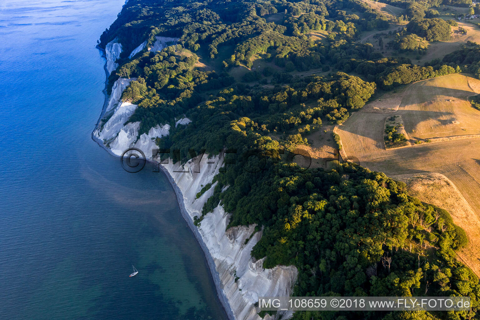 Forests of Moens Klint on the high shores of the Baltic sea in Borre in Region Sjaelland, Denmark