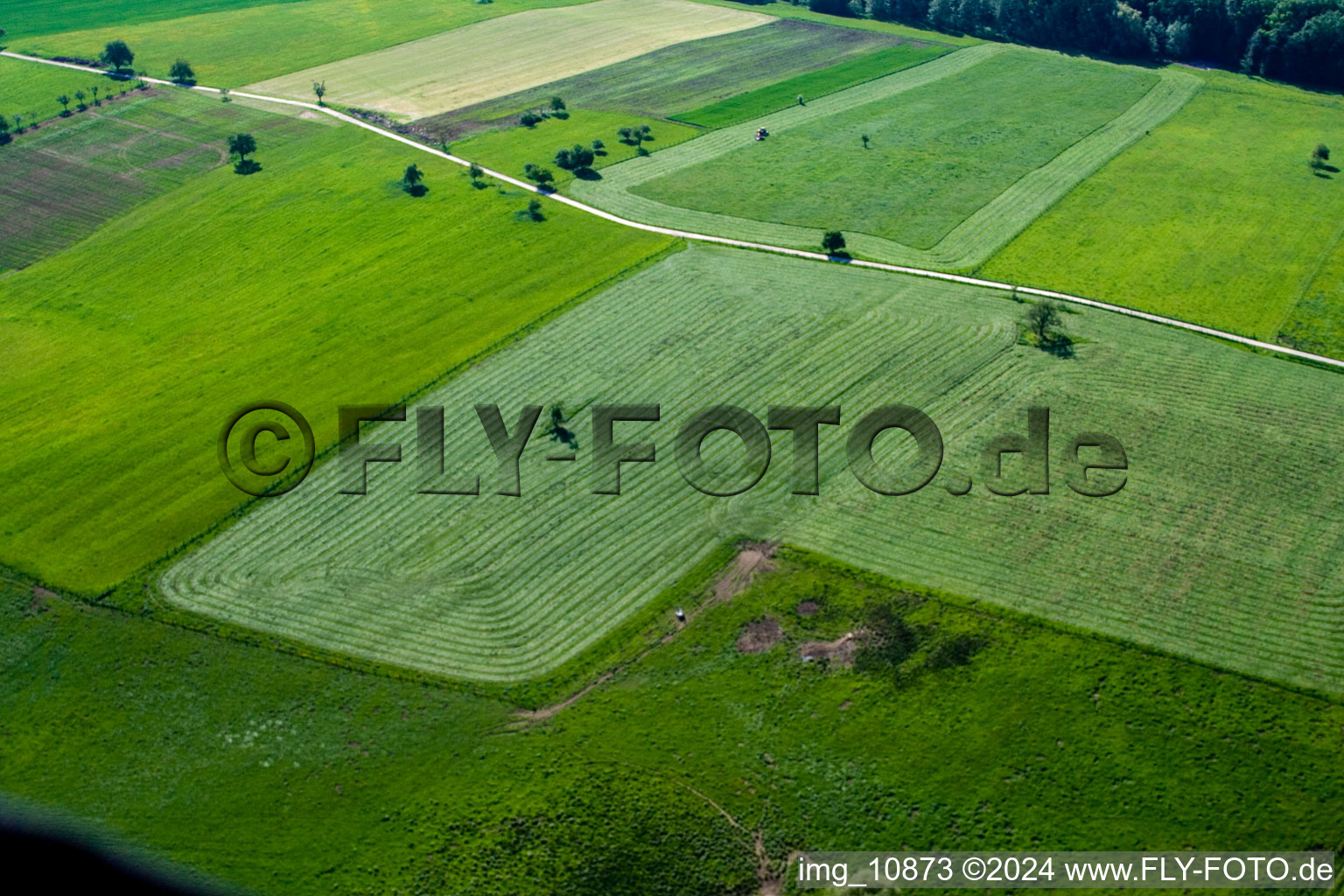 Bird's eye view of Weiterswiller in the state Bas-Rhin, France