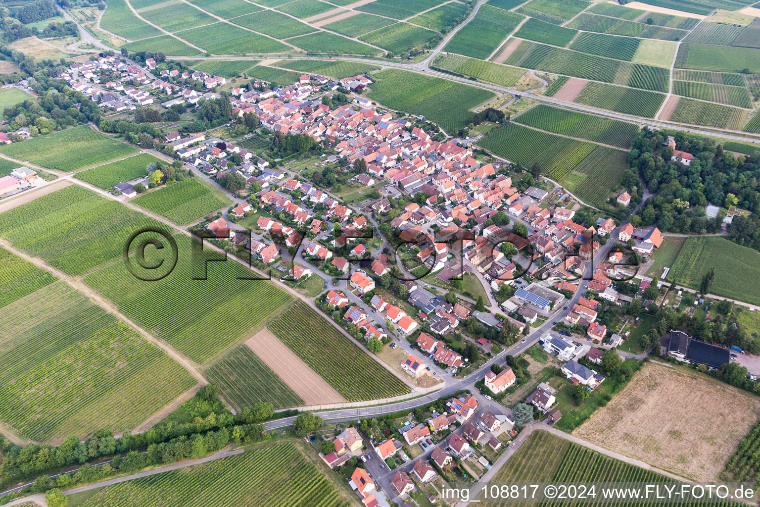 District Wollmesheim in Landau in der Pfalz in the state Rhineland-Palatinate, Germany out of the air