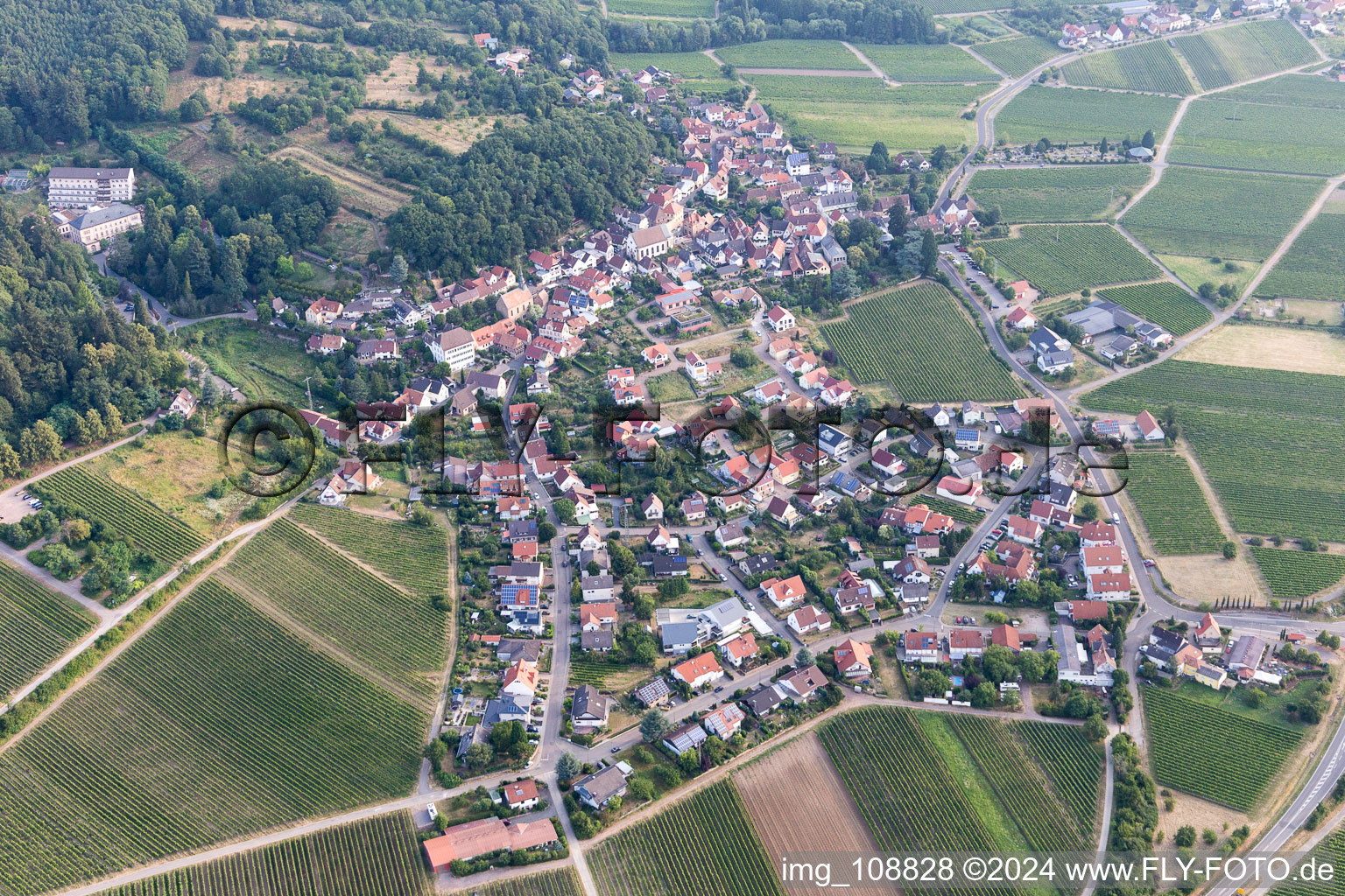 Bird's eye view of Gleisweiler in the state Rhineland-Palatinate, Germany