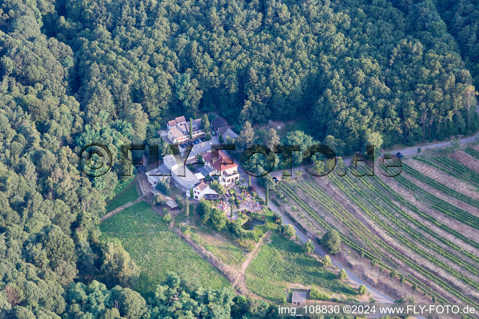 Gleisweiler in the state Rhineland-Palatinate, Germany viewn from the air