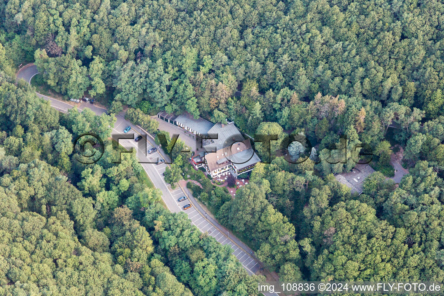 Aerial view of Sankt Martin in the state Rhineland-Palatinate, Germany