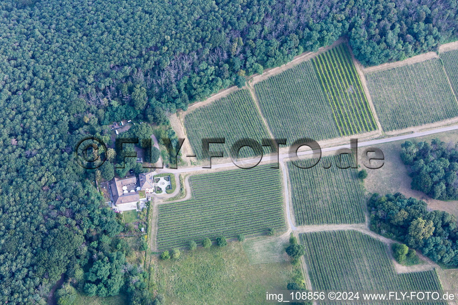 Oblique view of Odinstal Winery in Wachenheim an der Weinstraße in the state Rhineland-Palatinate, Germany