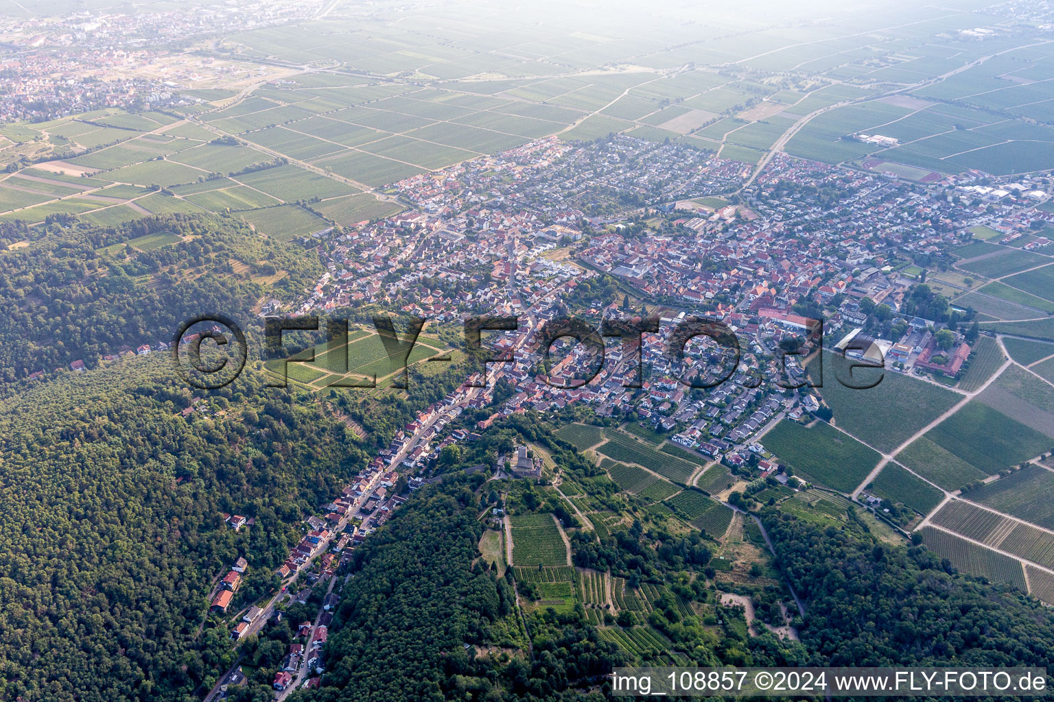 Drone image of Wachenheim an der Weinstraße in the state Rhineland-Palatinate, Germany