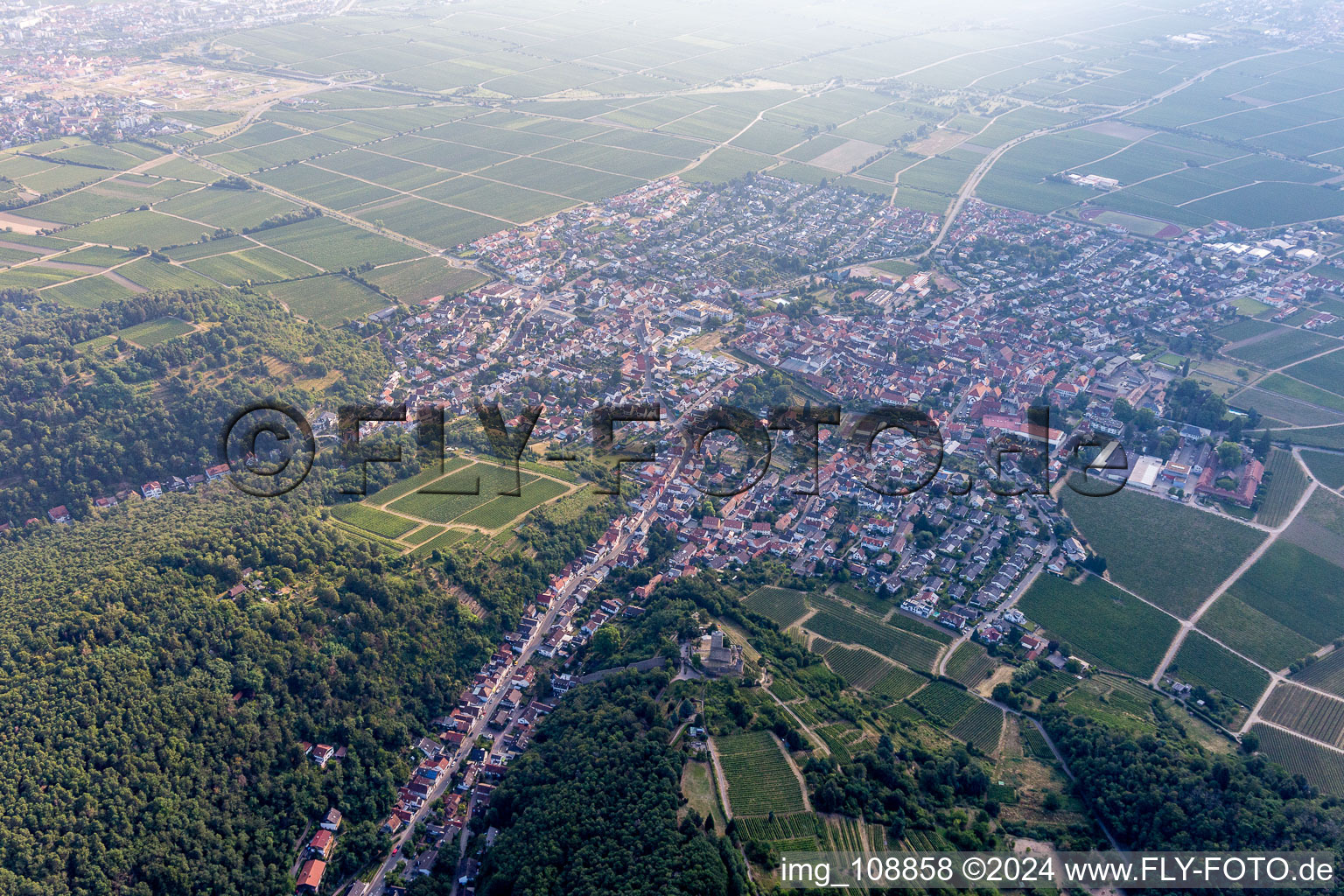 Wachenheim an der Weinstraße in the state Rhineland-Palatinate, Germany from the drone perspective