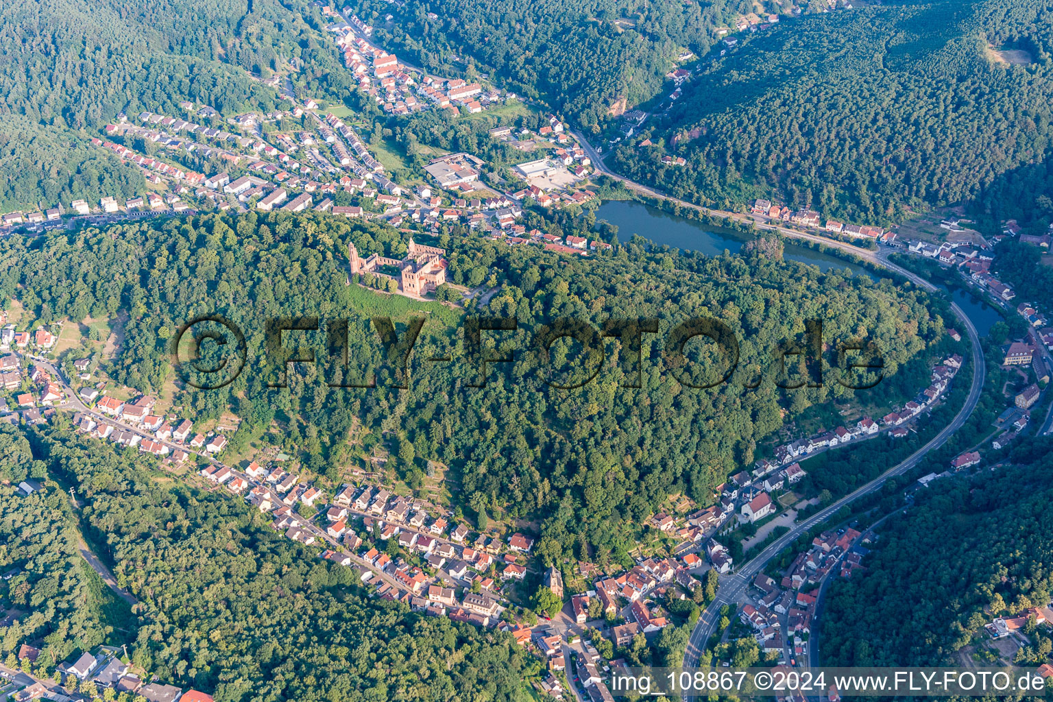 Limburg Monastery in the district Grethen in Bad Dürkheim in the state Rhineland-Palatinate, Germany from above