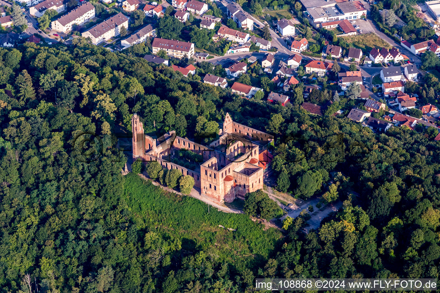 Limburg Monastery in the district Grethen in Bad Dürkheim in the state Rhineland-Palatinate, Germany out of the air