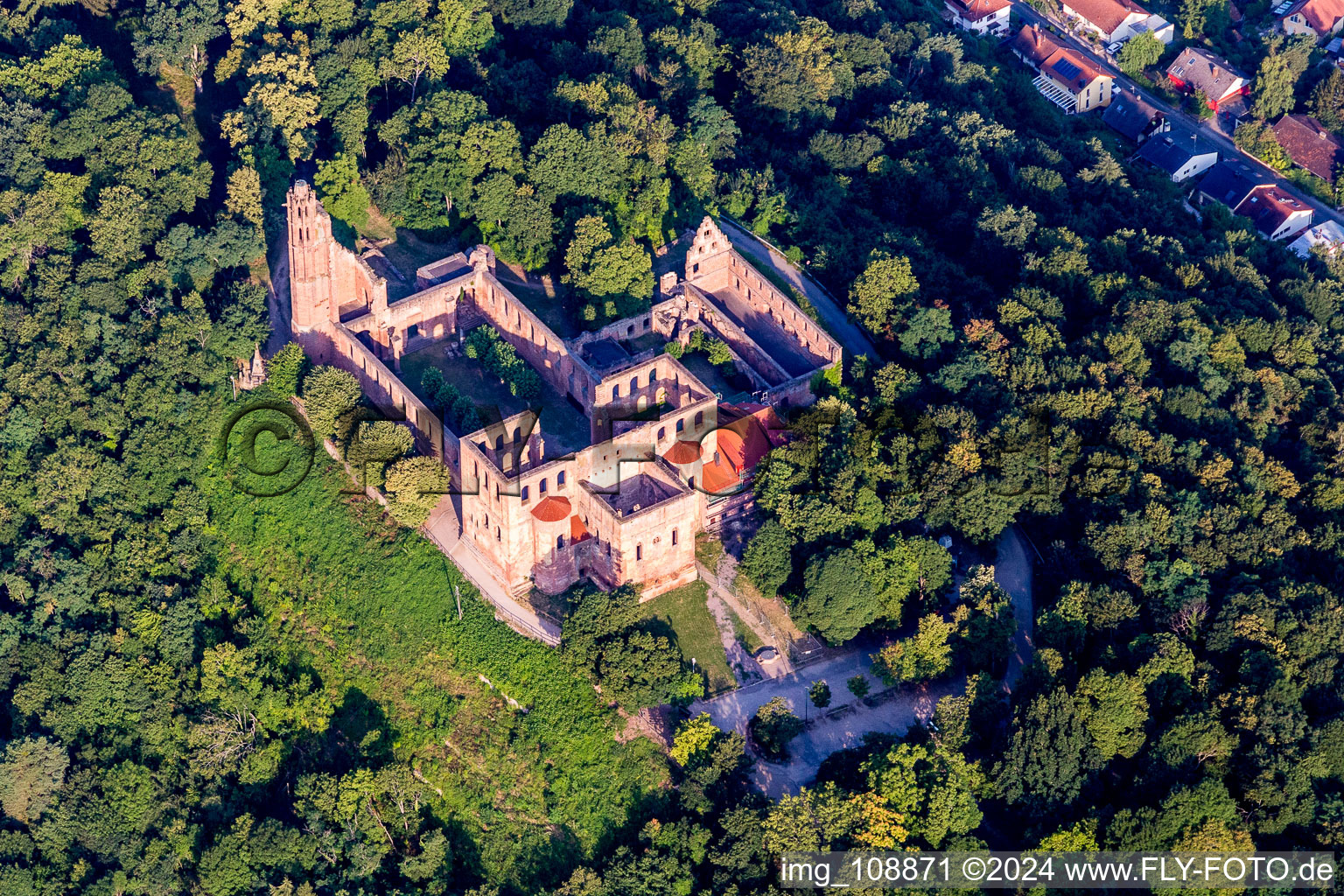 Ruins of the former monastery Limburg in Bad Duerkheim in the state Rhineland-Palatinate, Germany
