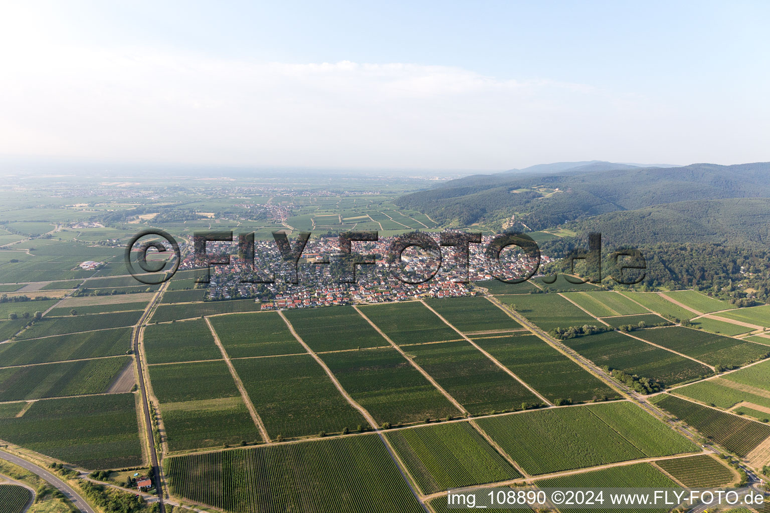 Wachenheim an der Weinstraße in the state Rhineland-Palatinate, Germany seen from a drone