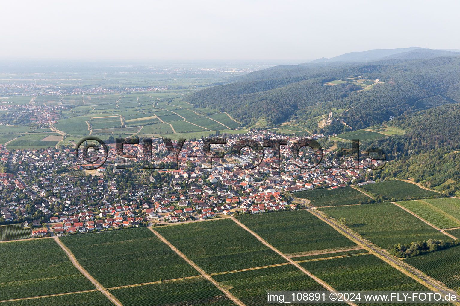 Aerial view of Wachenheim an der Weinstraße in the state Rhineland-Palatinate, Germany