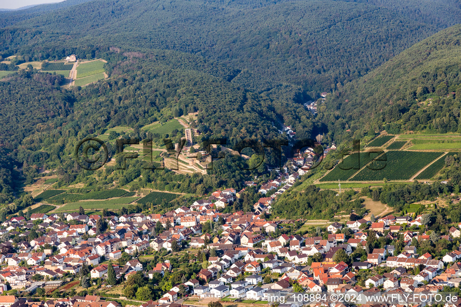 Ruins of the former fortress Wachtenburg ("Burg Wachenheim") in Wachenheim an der Weinstrasse in the state Rhineland-Palatinate, Germany from above