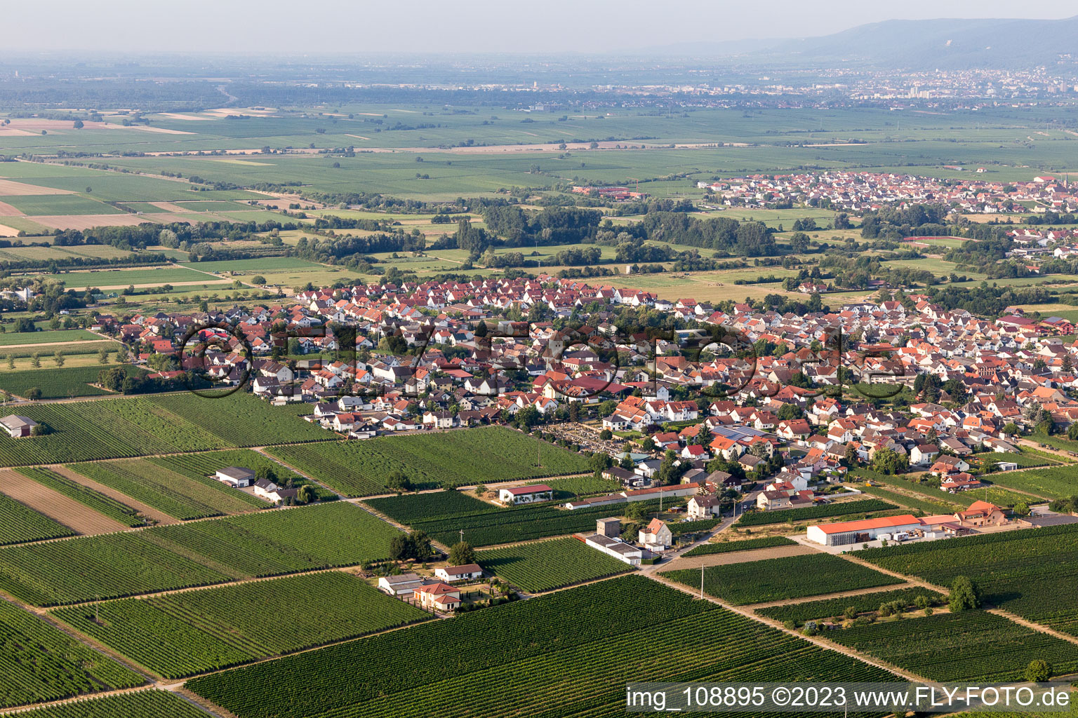 Niederkirchen bei Deidesheim in the state Rhineland-Palatinate, Germany out of the air