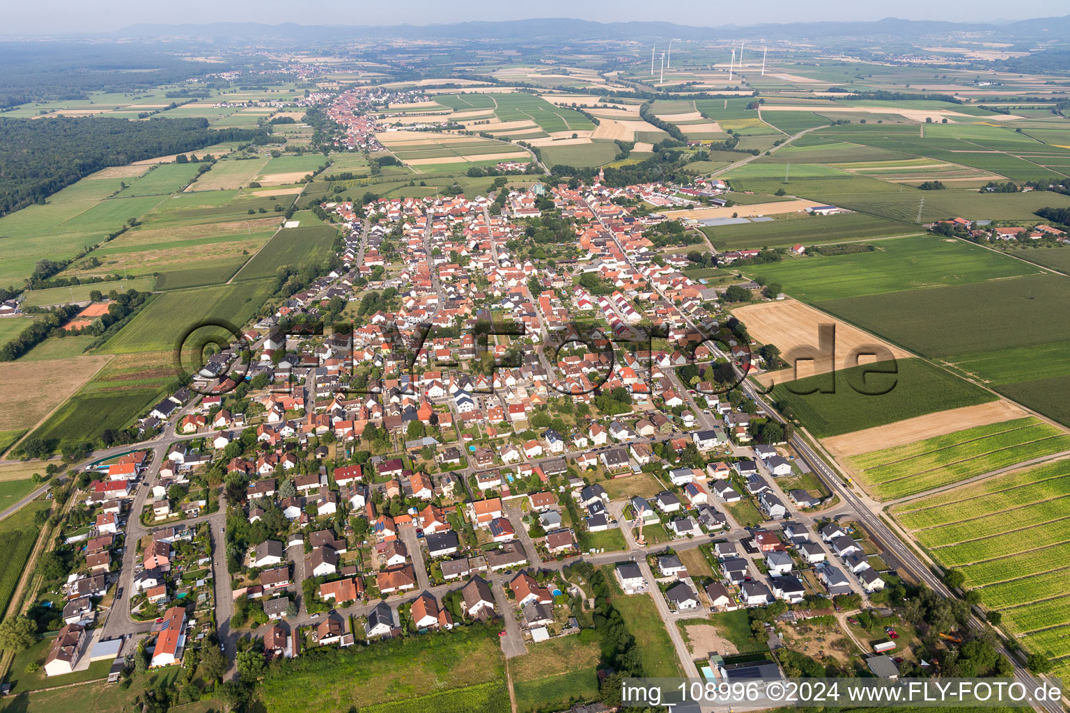 Bird's eye view of Minfeld in the state Rhineland-Palatinate, Germany