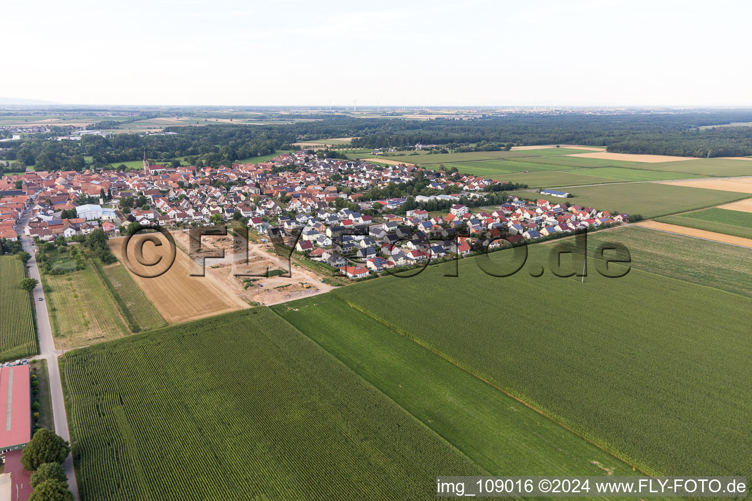 Steinweiler in the state Rhineland-Palatinate, Germany from above