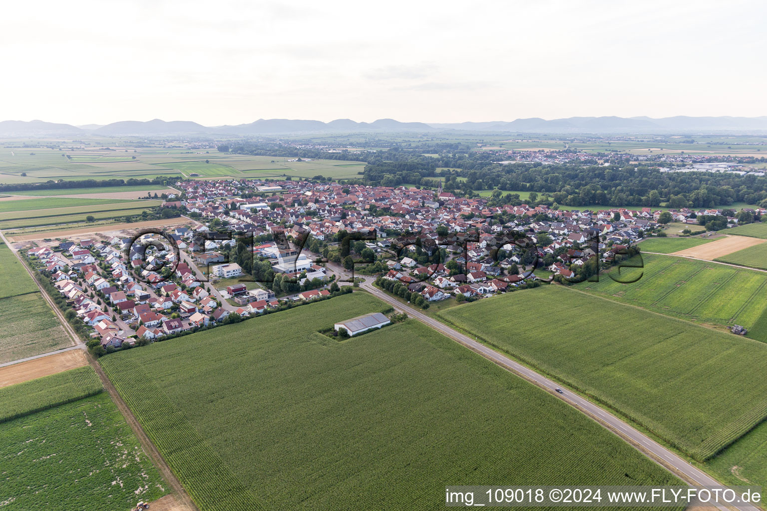 Steinweiler in the state Rhineland-Palatinate, Germany seen from above