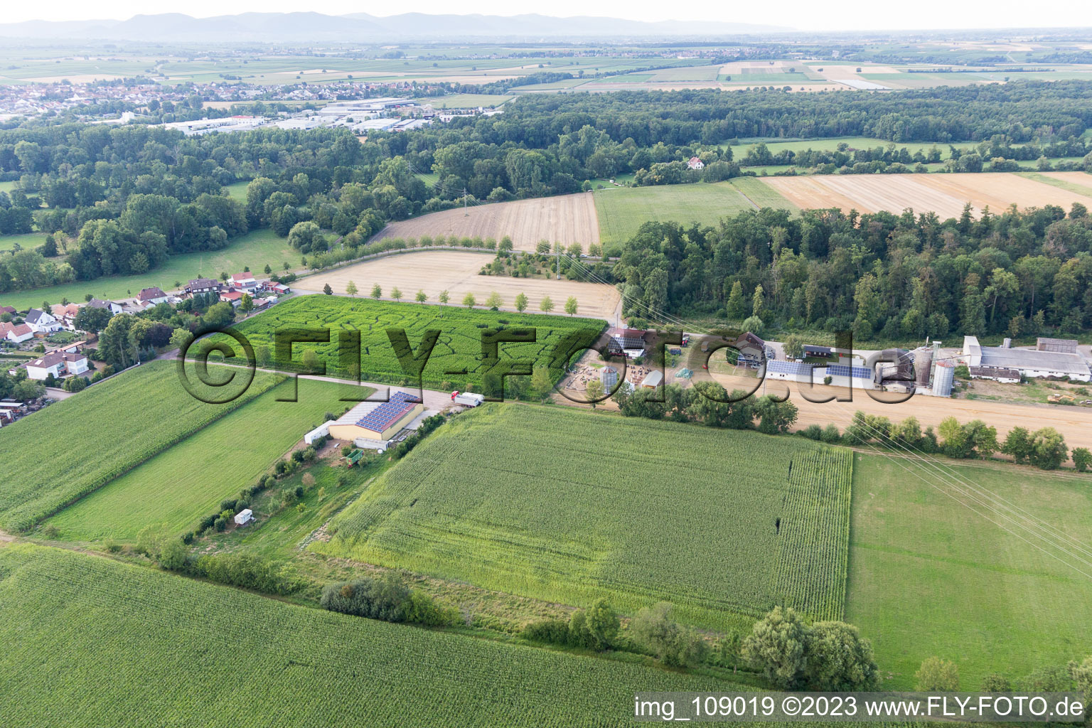 Corn maze at Seehof in Steinweiler in the state Rhineland-Palatinate, Germany