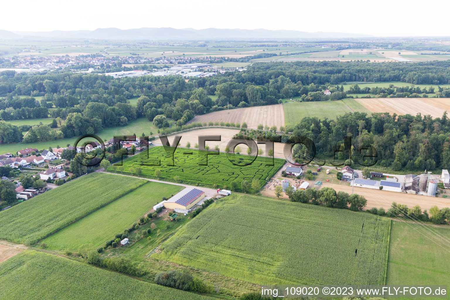 Aerial view of Corn maze at Seehof in Steinweiler in the state Rhineland-Palatinate, Germany