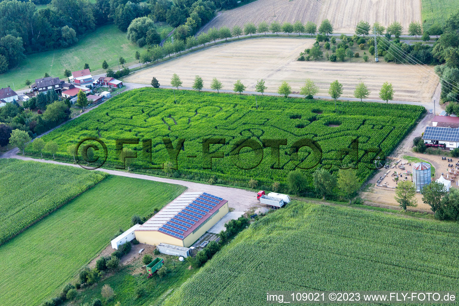 Aerial photograpy of Corn maze at Seehof in Steinweiler in the state Rhineland-Palatinate, Germany