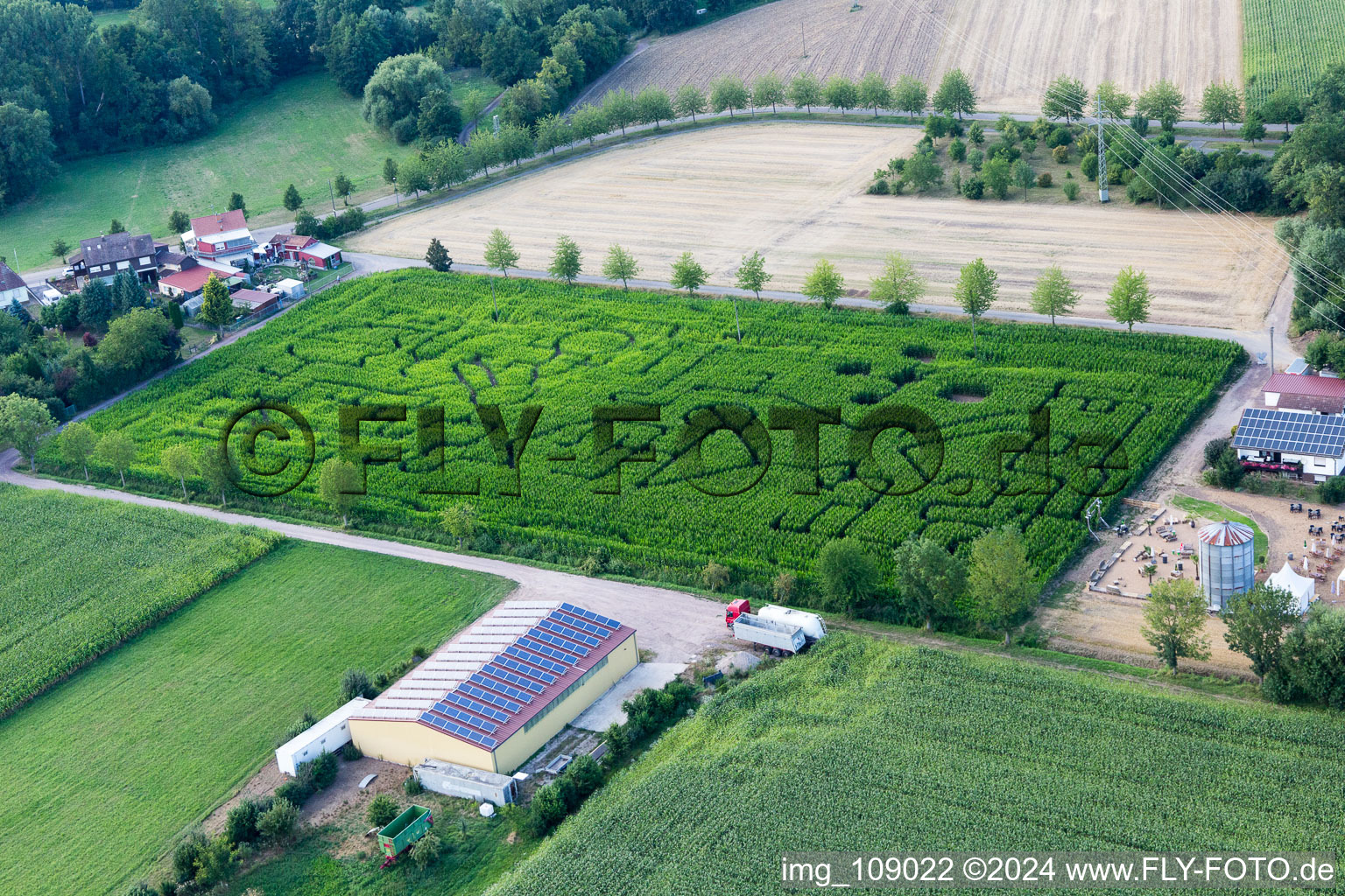 Maze - Labyrinth on a corn-field in Steinweiler in the state Rhineland-Palatinate, Germany