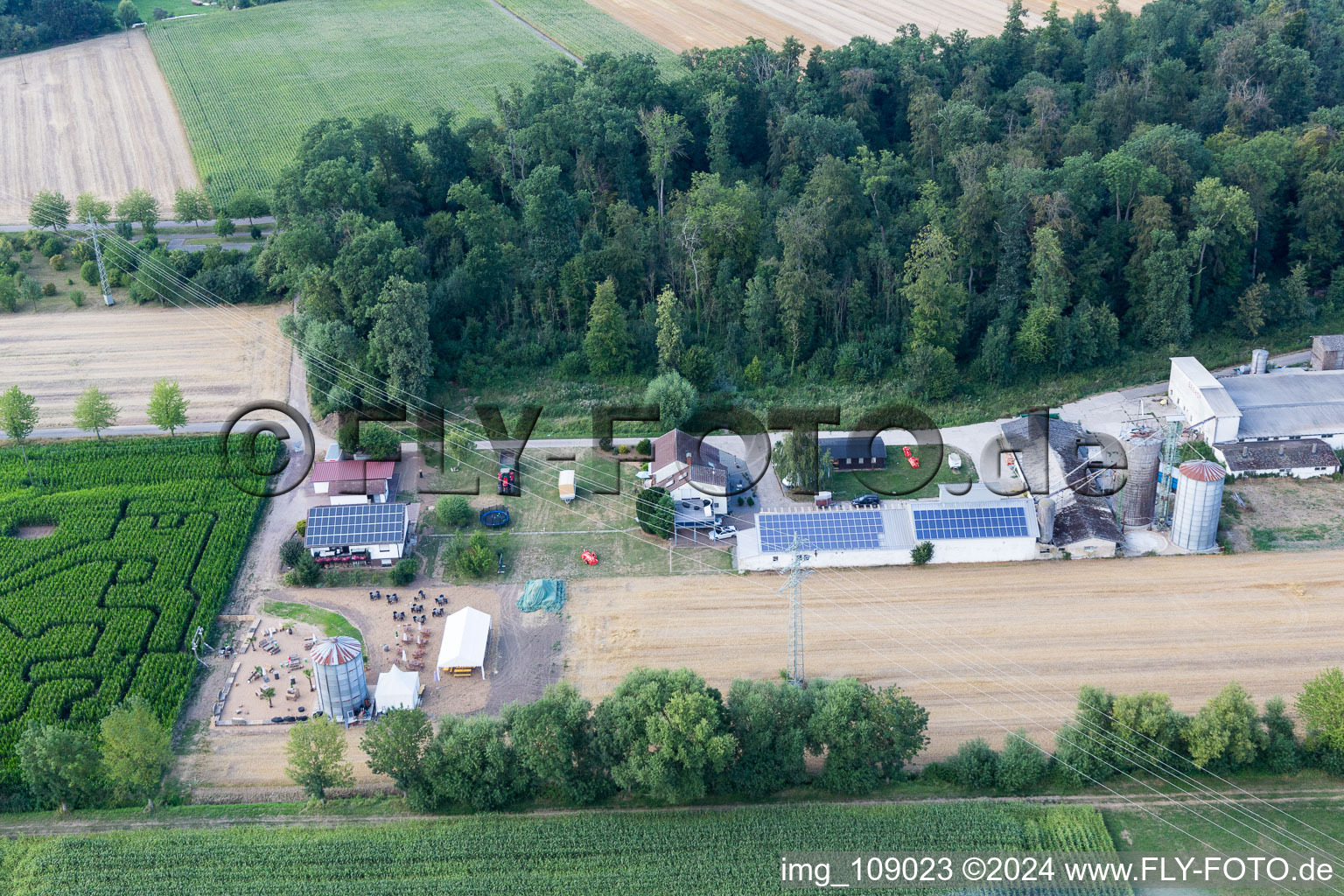 Oblique view of Corn maze at Seehof in Steinweiler in the state Rhineland-Palatinate, Germany