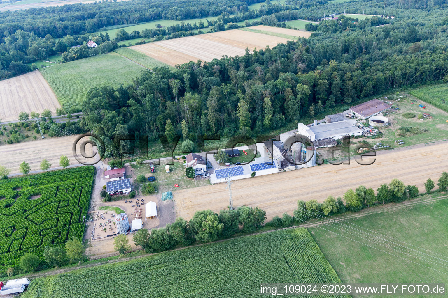Corn maze at Seehof in Steinweiler in the state Rhineland-Palatinate, Germany from above