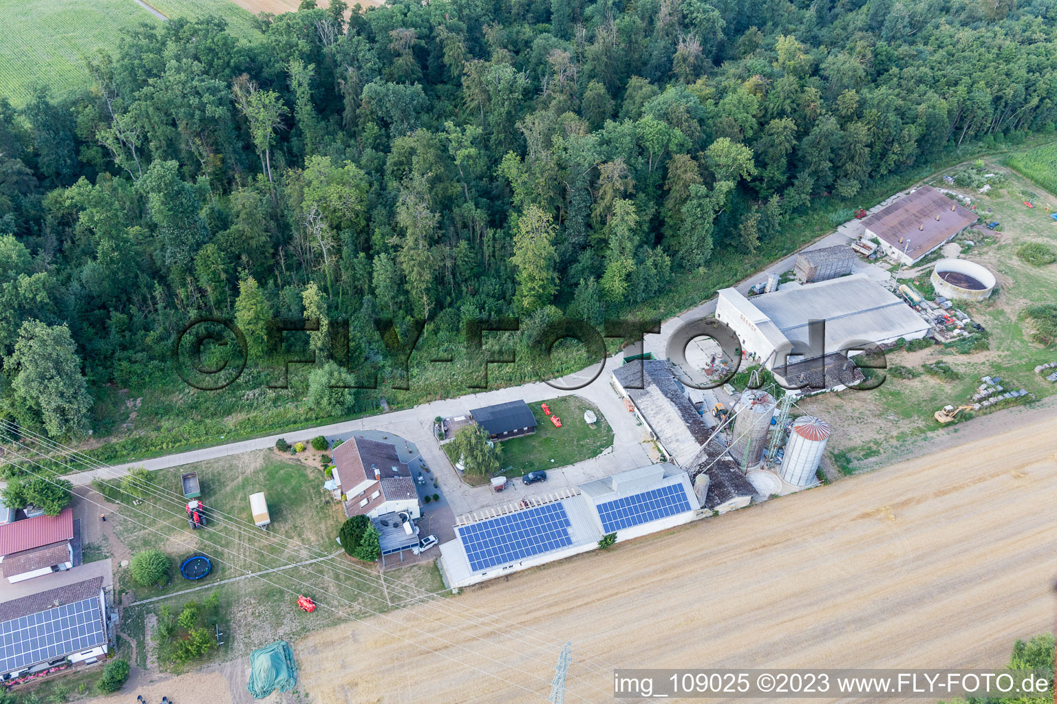Corn maze at Seehof in Steinweiler in the state Rhineland-Palatinate, Germany out of the air