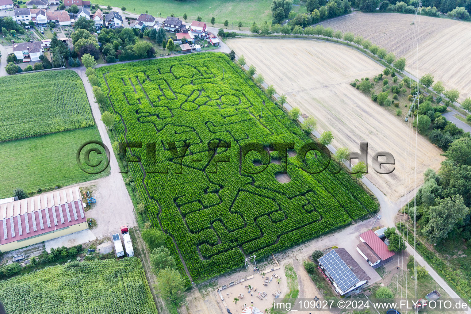 Aerial view of Maze - Labyrinth on a corn-field in Steinweiler in the state Rhineland-Palatinate, Germany