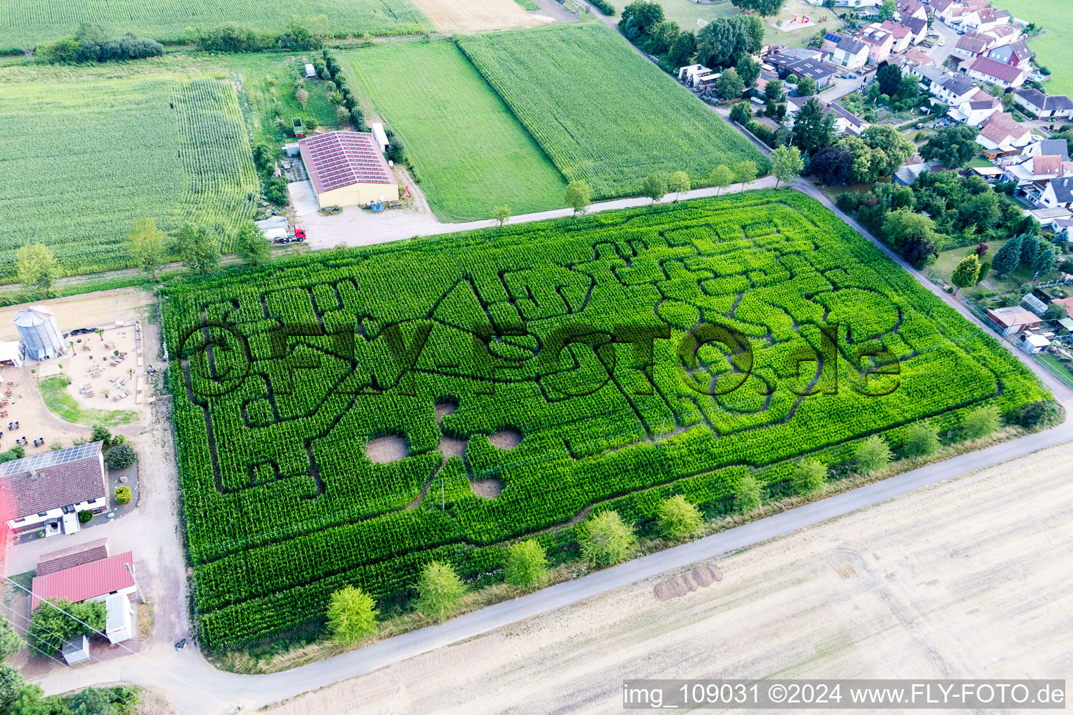 Aerial photograpy of Maze - Labyrinth on a corn-field in Steinweiler in the state Rhineland-Palatinate, Germany