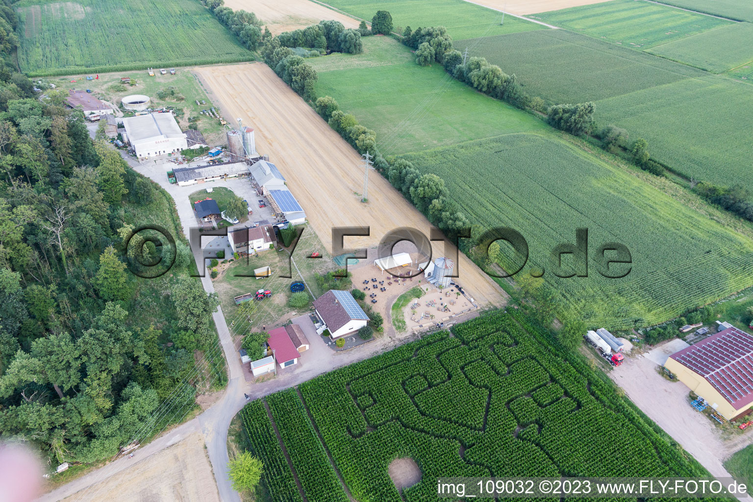 Bird's eye view of Corn maze at Seehof in Steinweiler in the state Rhineland-Palatinate, Germany