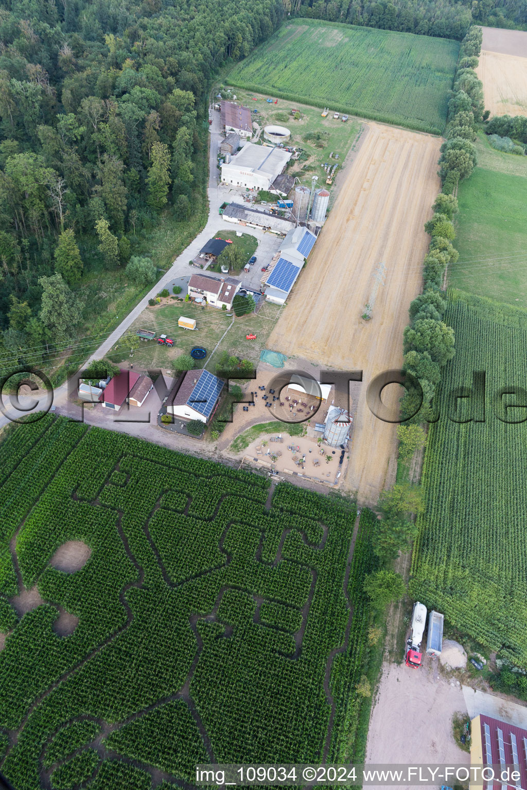 Corn maze at Seehof in Steinweiler in the state Rhineland-Palatinate, Germany viewn from the air