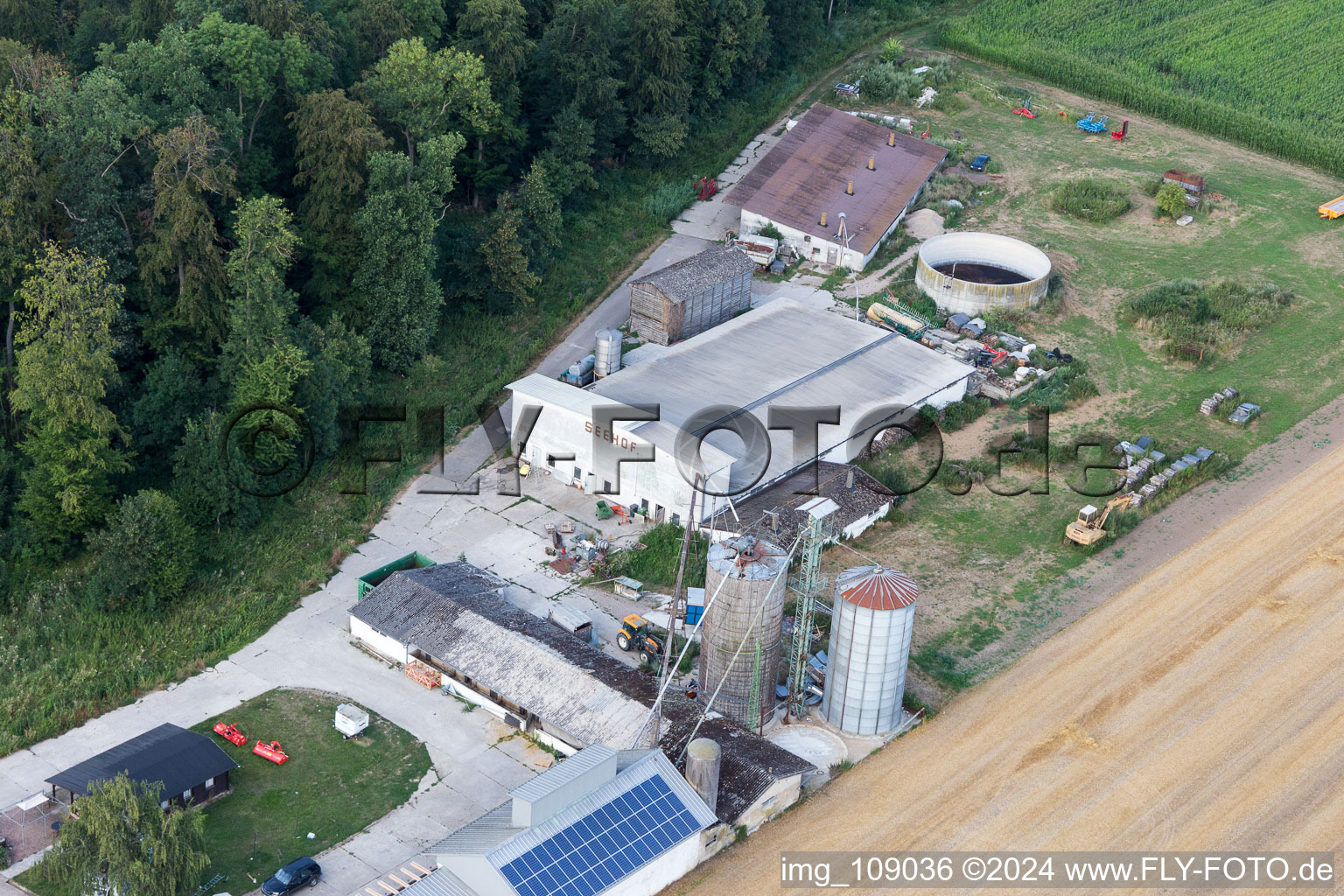 Drone image of Corn maze at Seehof in Steinweiler in the state Rhineland-Palatinate, Germany