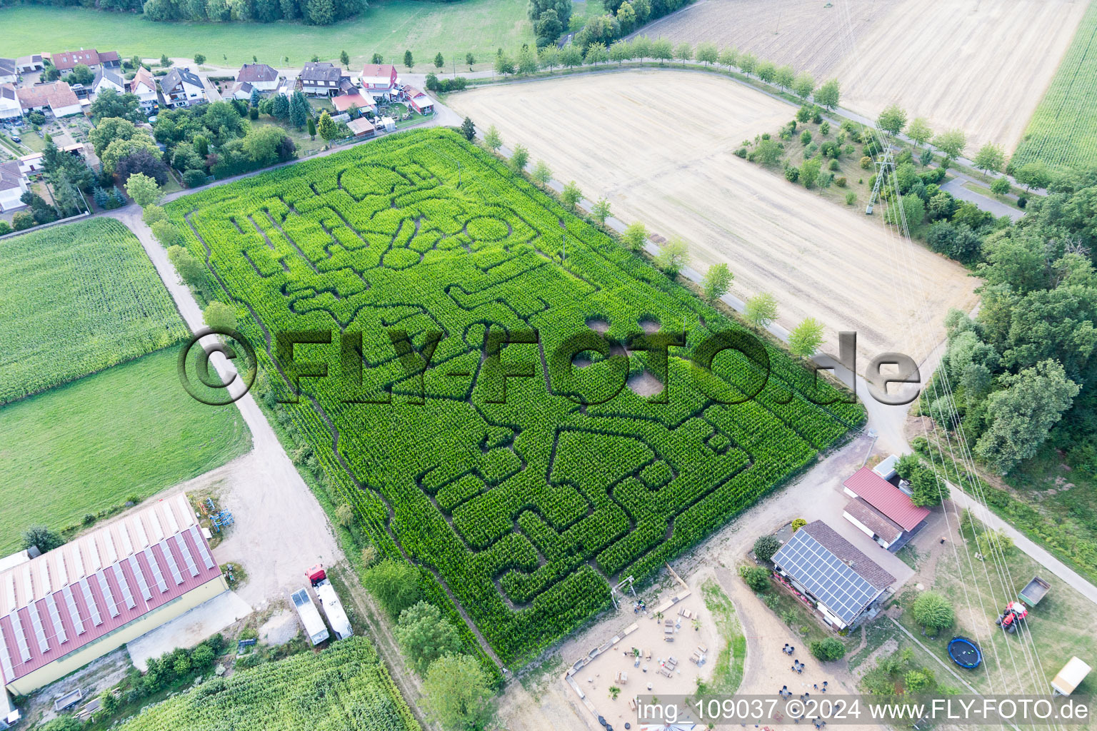 Oblique view of Maze - Labyrinth on a corn-field in Steinweiler in the state Rhineland-Palatinate, Germany