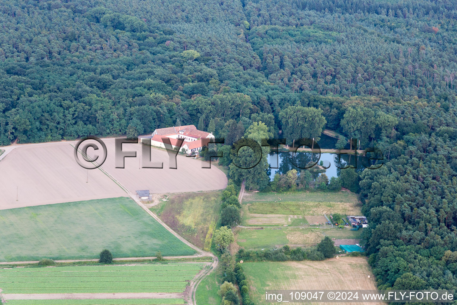 Lustadt in the state Rhineland-Palatinate, Germany seen from a drone