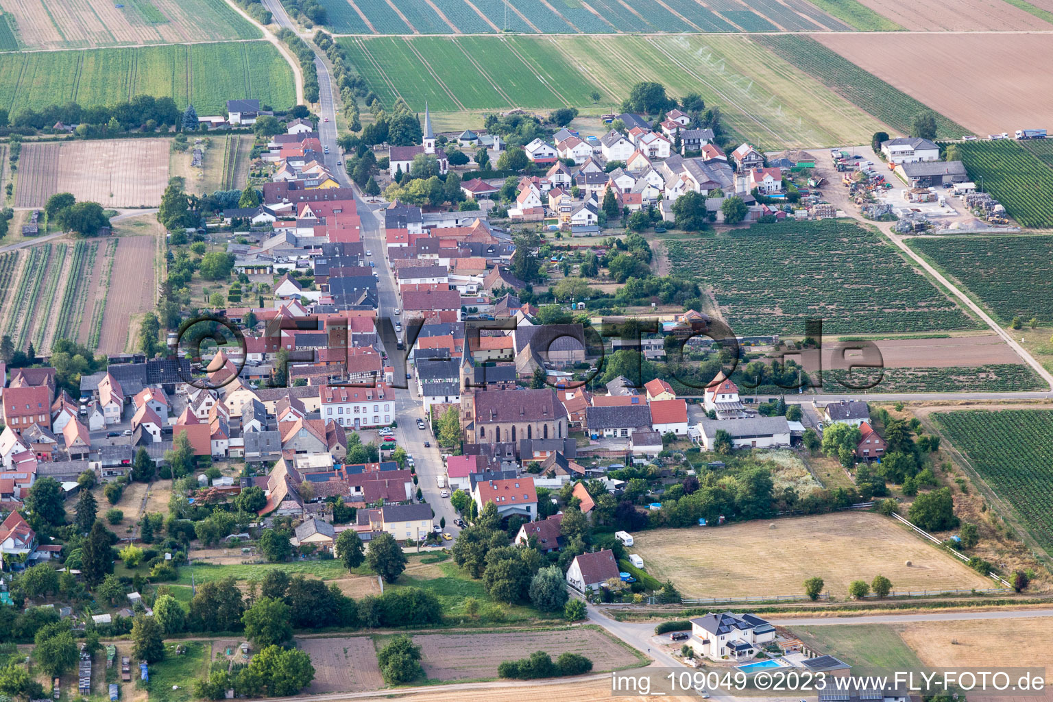 Niederlustadt in the state Rhineland-Palatinate, Germany
