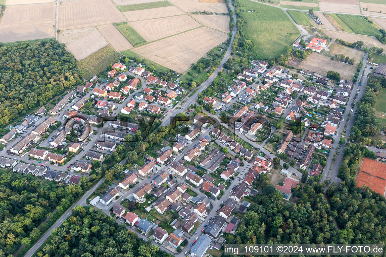 Forest Bridge in Weingarten in the state Baden-Wuerttemberg, Germany