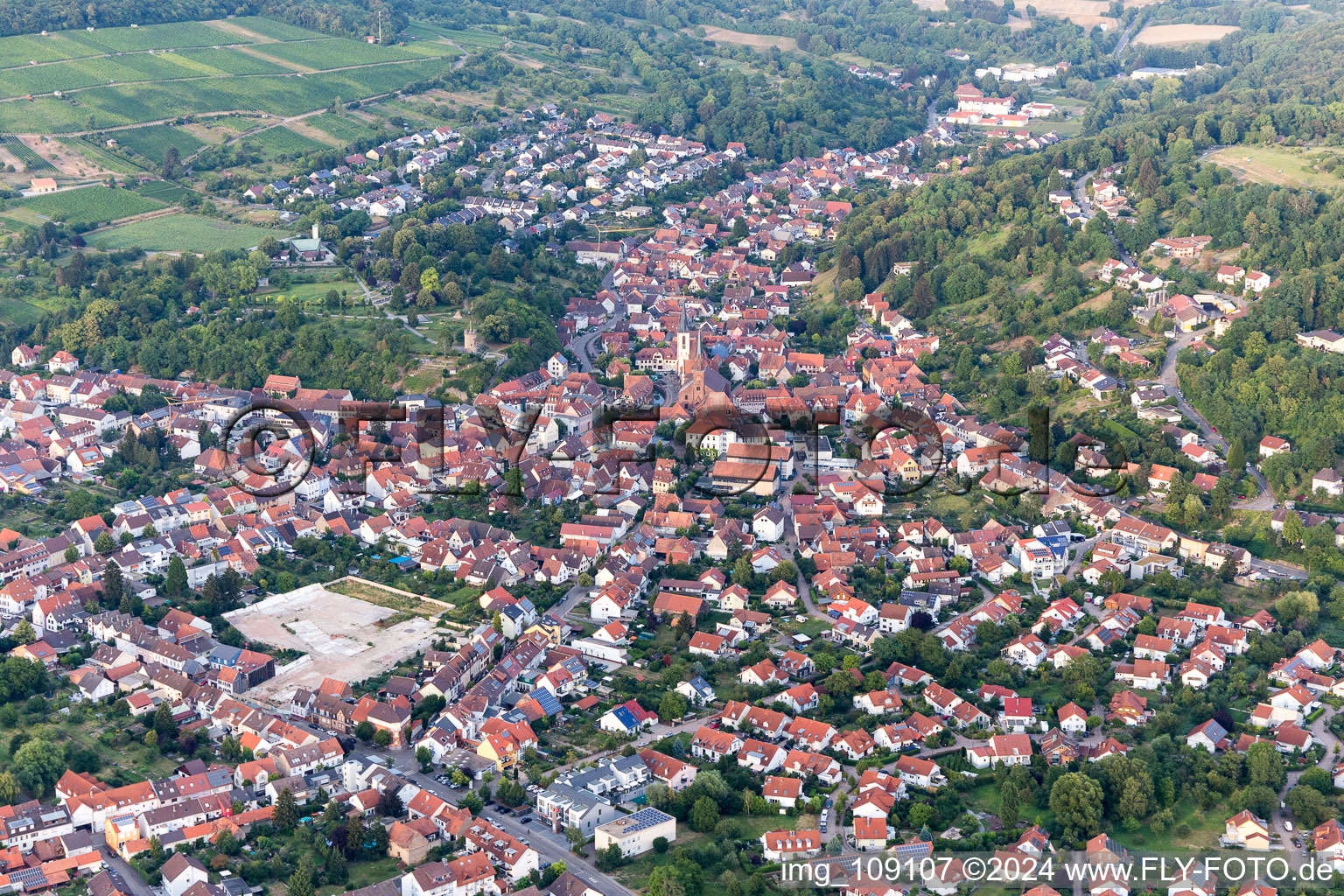 Oblique view of Weingarten in the state Baden-Wuerttemberg, Germany