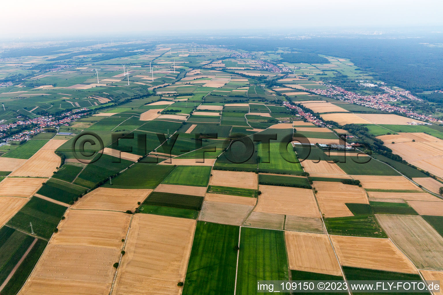 Niederotterbach in the state Rhineland-Palatinate, Germany seen from above