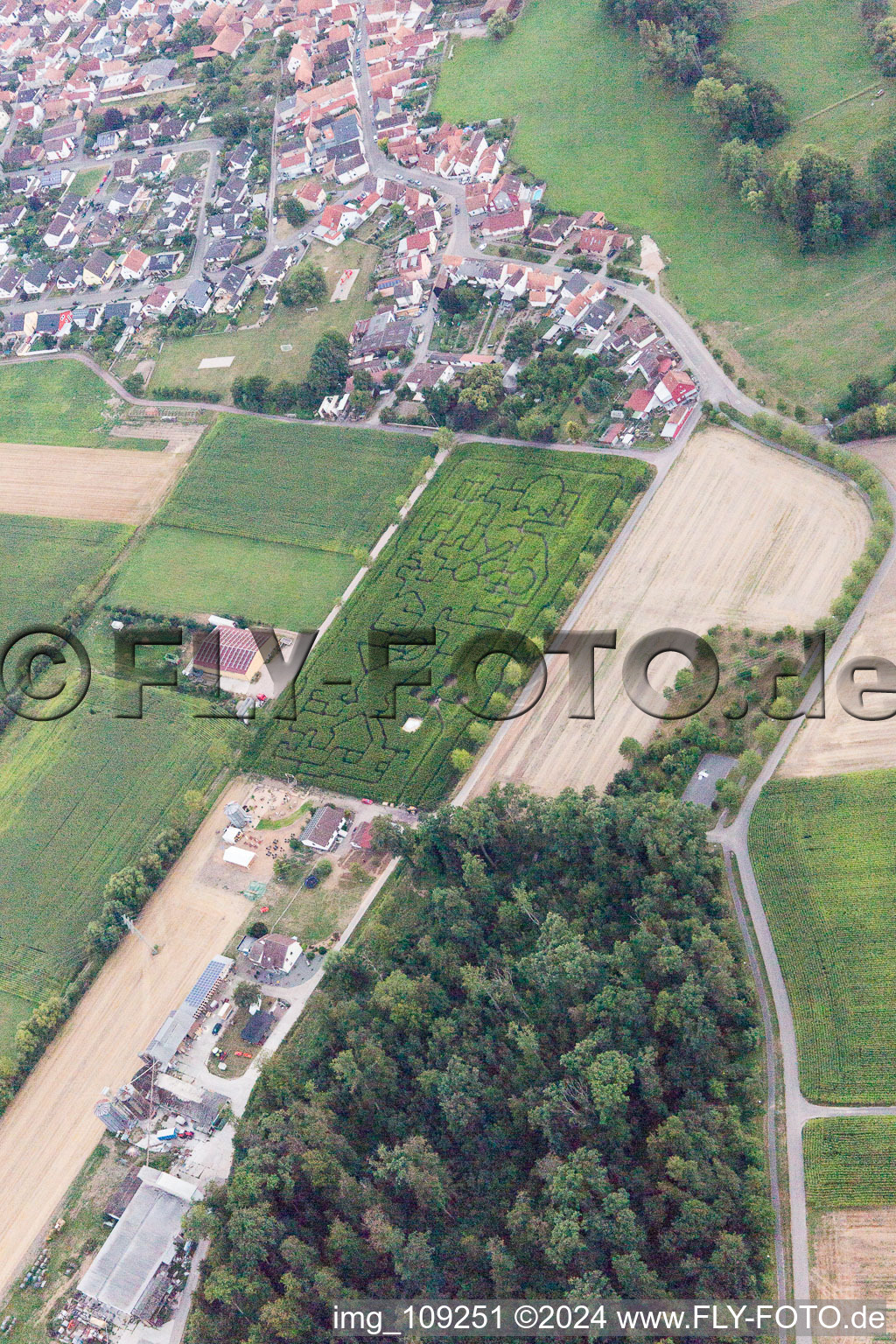 Steinweiler in the state Rhineland-Palatinate, Germany from the plane