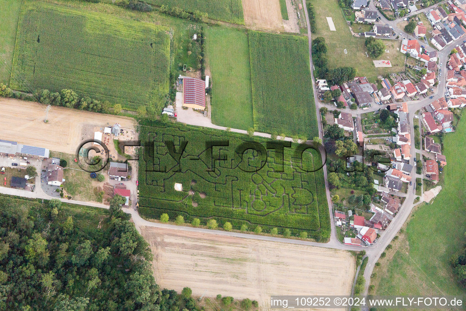 Bird's eye view of Steinweiler in the state Rhineland-Palatinate, Germany