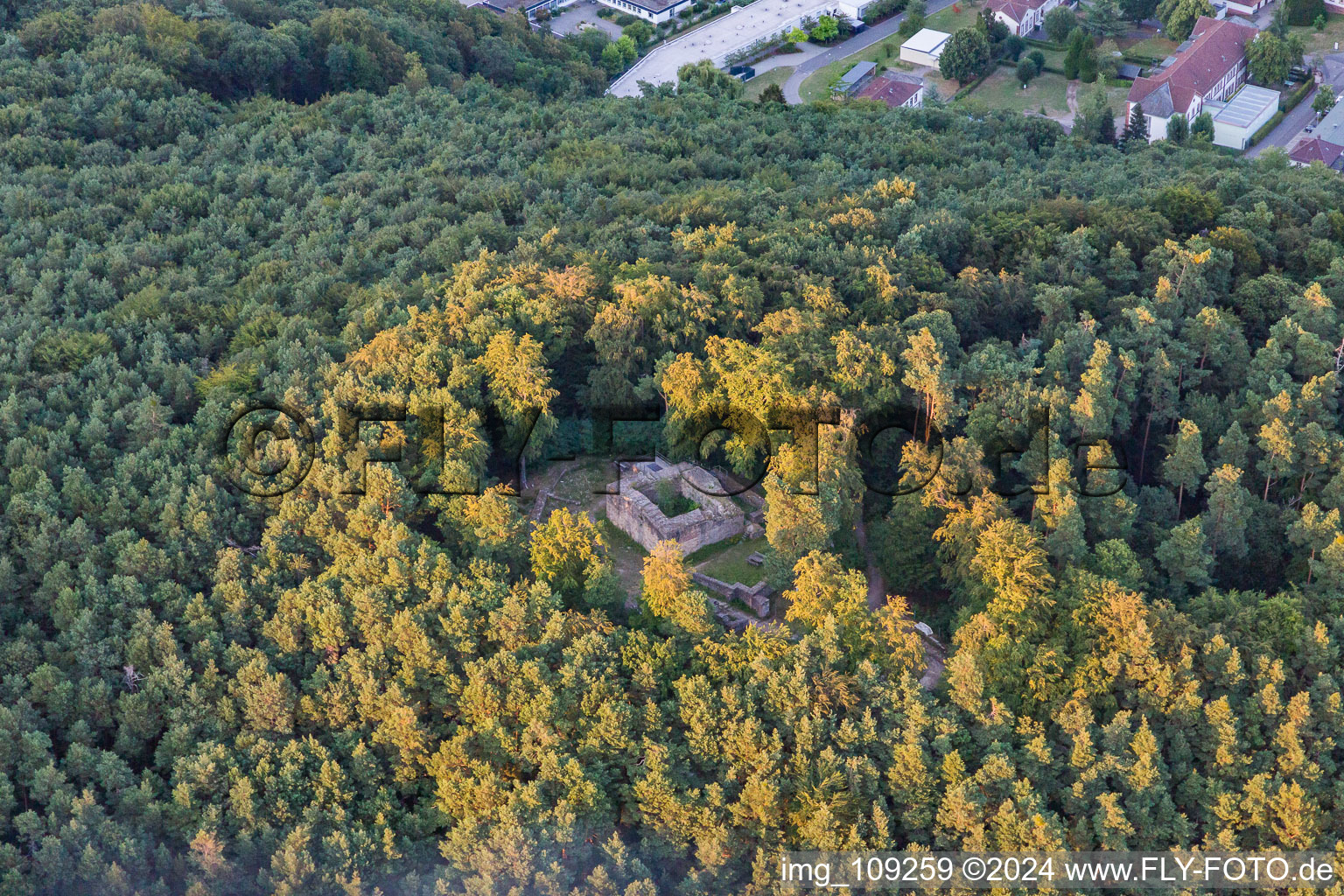 Ruins and vestiges of the former castle and fortress Burg Schloessel in Klingenmuenster in the state Rhineland-Palatinate, Germany